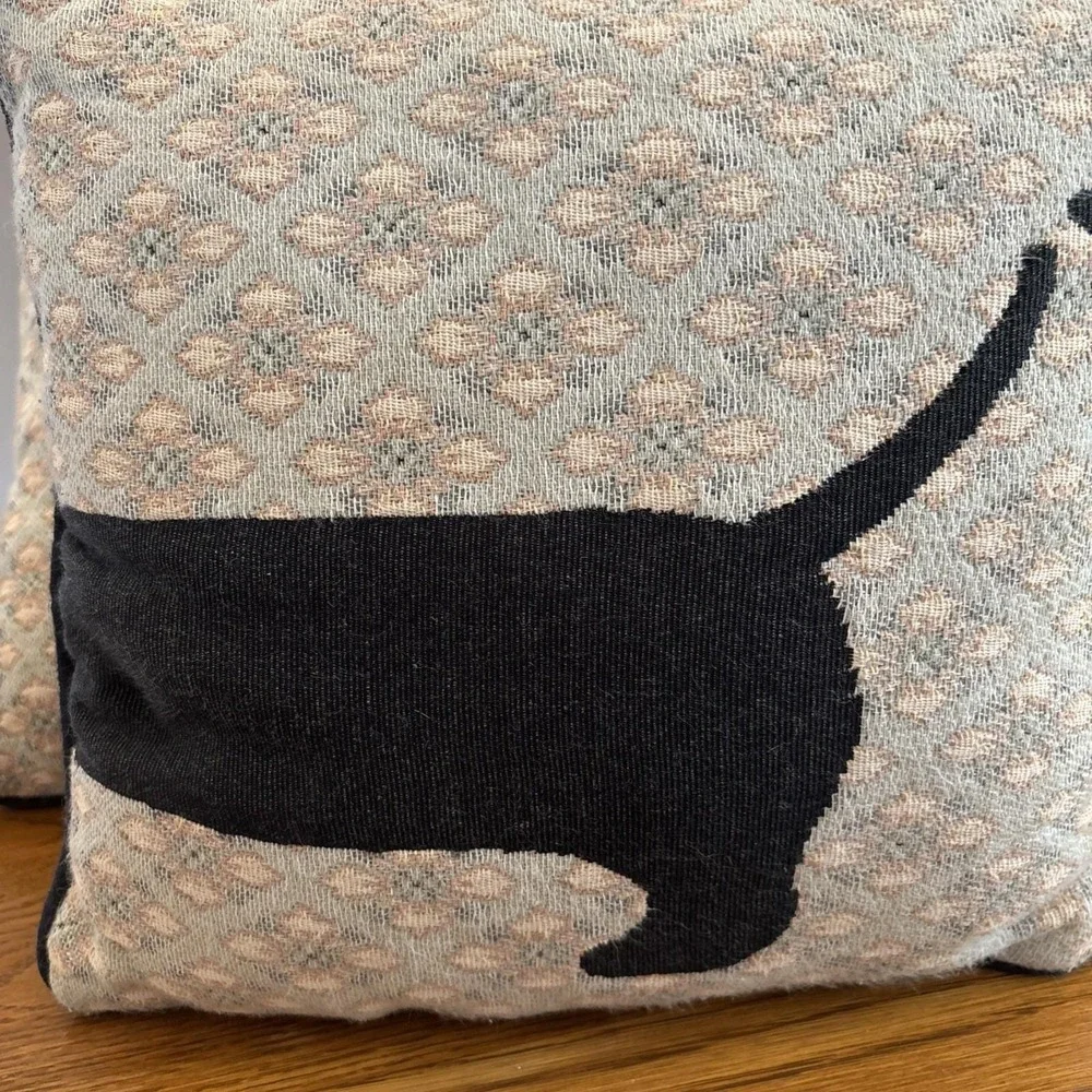 Dog Pillows 2 Dachshund Decorative Pillows Fun Weiner Dogs